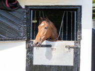 NH051025-79 - Will Carver